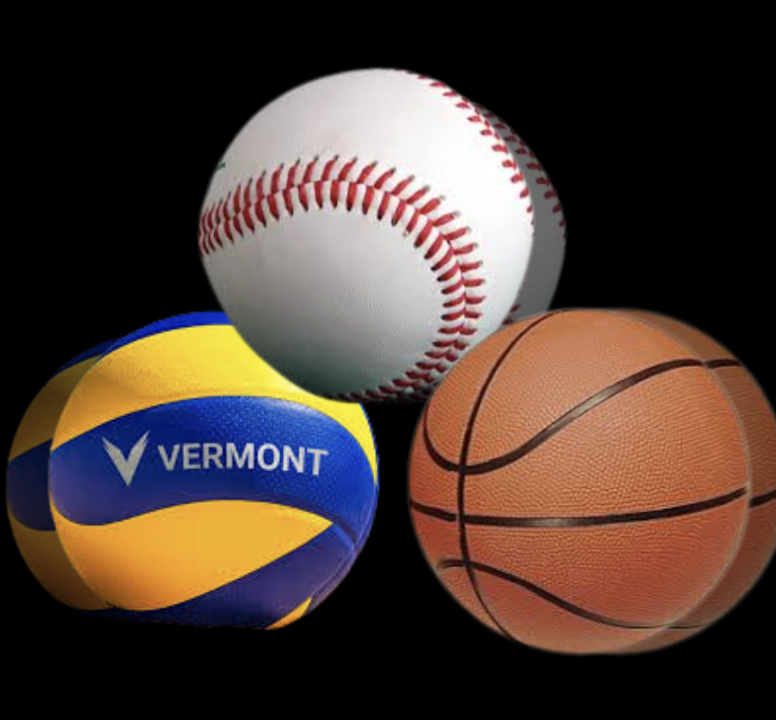 Volleyball image